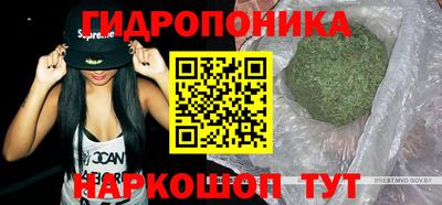 гидра Донецк
